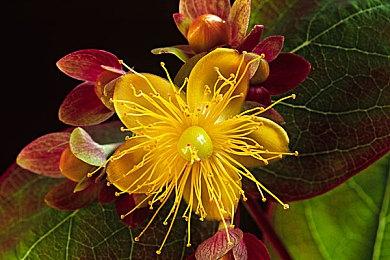 科幻生存游戏《多重人生》42分钟游戏实机